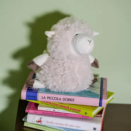 Becute Cozy In Center Appartamento *