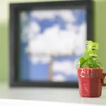 Becute Cozy In Center Appartement